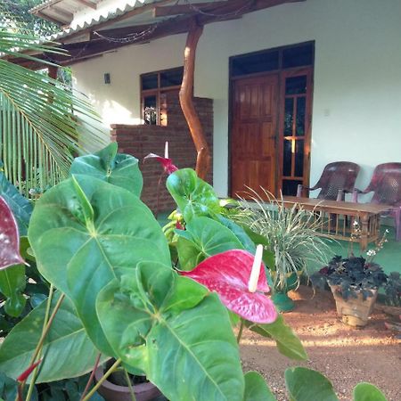 Amaya River Side Homestay シギリヤ エクステリア 写真