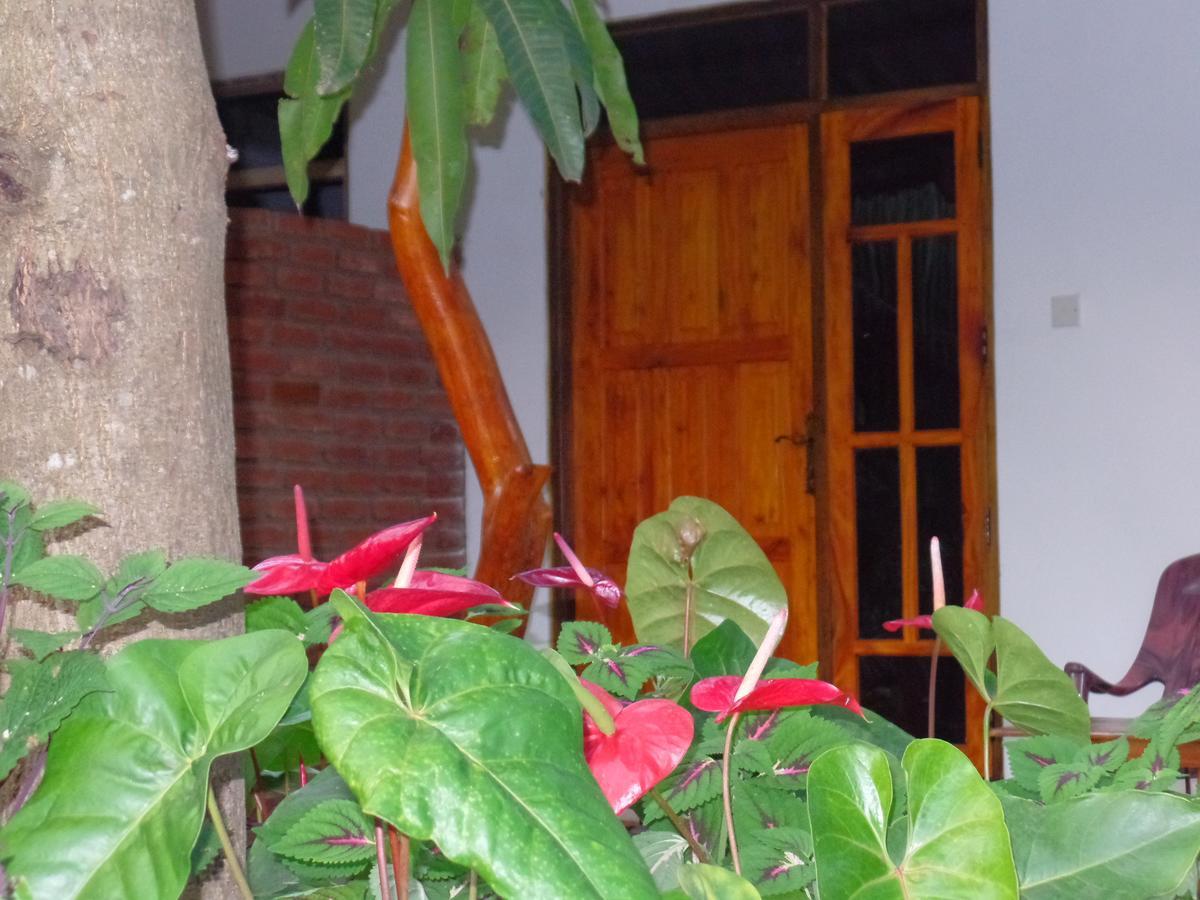 Amaya River Side Homestay シギリヤ エクステリア 写真
