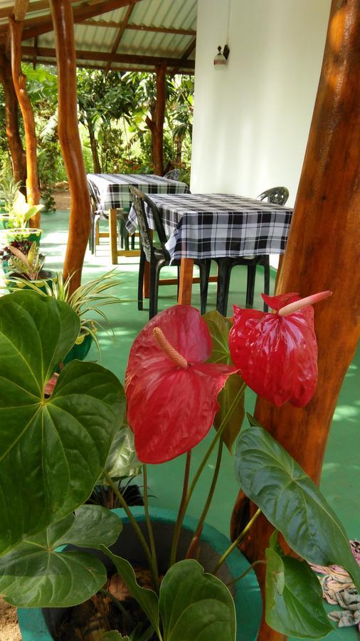 Amaya River Side Homestay シギリヤ エクステリア 写真