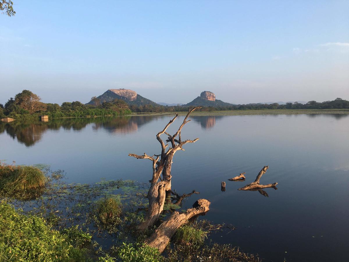 Amaya River Side Homestay シギリヤ エクステリア 写真