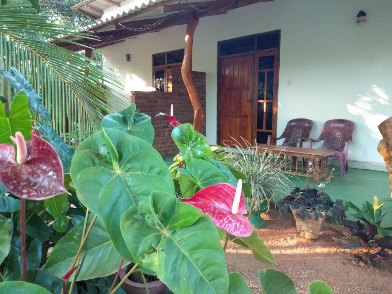 Amaya River Side Homestay シギリヤ エクステリア 写真